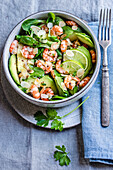 Avocado-Shrimps-Salat mit Limette und Feldsalat