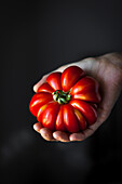 A hand holding a red heirloom tomato