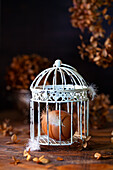 An egg in an ornamental cage with feathers attached