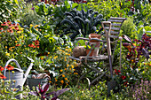 Bistro chair in a cottage garden between the vegetables and perennials