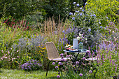 Cozy seating area by the perennial bed with 'Blue Fortune' 'Apache Sunset' Anise hyssop, 'Glitter Blue' sea holly, Golden marguerite, grasses, primrose, petunia, allium, leadwort, and knotweed