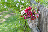 Small bouquet with carnations and wild strawberries in a hanging basket on the fence