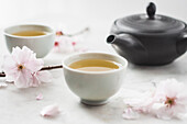 Japanese tea in tea bowls with a teapot and cherry blossoms