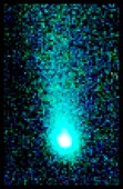 Comet Neowise, illustration