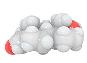 Testosterone, molecular model