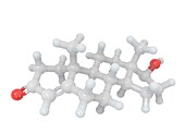 Testosterone, molecular model