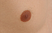 Man's nipple