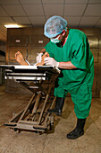 Pathologist examines a cadaver in a mortuary