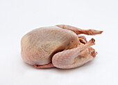 Uncooked quail