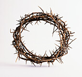 Crown of thorns