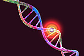 Genetic mutation, conceptual illustration