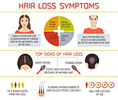 Hair loss symptoms, illustration