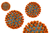 Covid-19 coronavirus particles, illustration