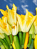 Zucchini with flowers