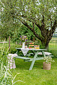 Gedeckter Gartentisch unter altem Apfelbaum im Garten