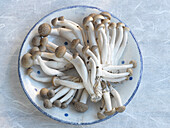 Brown beech mushroom (Buna-shimeji)