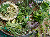 An arrangement on a plate of pasta with pesto and various herbs