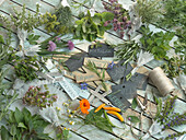 An arrangement of various bundles of fresh herbs and herb signs