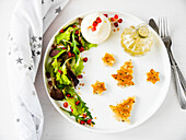 Salad with burrata, pomegranate seeds with crostini in the shape of a star, and a fir tree