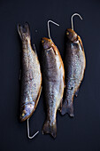 Three smoked trout with hooks on a dark background