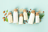 Vegan non dairy plant based milk in bottles and ingredients on turquoise background (almond, hazelnut, rice, oat, soy)