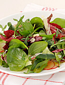 Mixed leaf salad