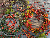 Autumn wreaths: cotoneaster wreath with a strand of ornamental apple, and firethorn wreath with rose hips