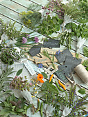 Still life with various fresh herb bundles and garden labels with herb names