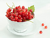 White bowl with red currants