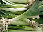 Several leeks, filling the picture