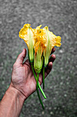 A farmer holding squash blossoms in their hands