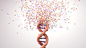 DNA disintegrating, conceptual illustration