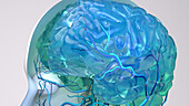 Human brain, conceptual illustration