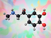Adrenalin molecule, illustration