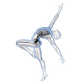 Anatomy of a dancer, illustration