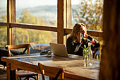 Businesswoman talking on phone on laptop in sunny restaurant