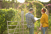Couple with book harvesting vegetables in summer garden