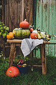 Pumpkins, pears and apples on a chair outdoors