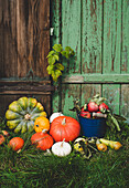 Pumpkins, pears and apples outdoors