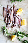 Raw squid with lemon and rosemary