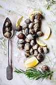 Fresh clams with lemon and rosemary