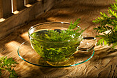 A cup of tea with annual mugwort (Artemisia annua)