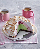 Baked Alaska Cake