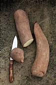 Yam root with a knife