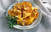 Fresh chanterelles with thyme and parsley on a plate