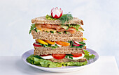Tower of sandwiches with salmon, vegetables and mozzarella