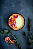 Cheesecake with citrus fruits on a crunchy oatmeal base