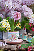 Flowering hyacinths in a pot and small Easter bunnies in espresso cups