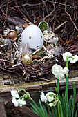 Osternest aus Birkenzweigen mit Ostereiern, Blumenzwiebeln und Federn