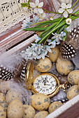 Still-life Easter arrangement with quail eggs, pocket watch, striped squill flowers, feathers and branch of cherry blossom